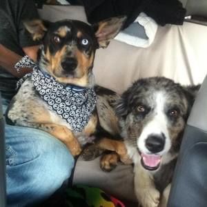 Meet your Posher, Lee